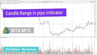 💵Candle Range in pips Indicator for MetaTrader 4/5 - [TradingFinder]