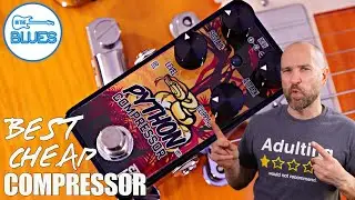Caline Python Compressor: The Best Affordable Compressor!