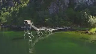 Laksegiljer