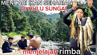 PETUALANG SEHARIAN DI HULU SUNGAI HUTAN SUMATERA BERBURU IKAN SIDAT IKAN MASHER KETIKA CUACA MEMBAIK