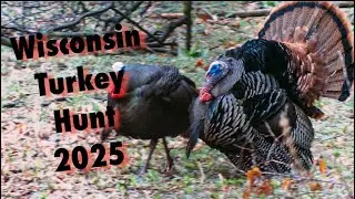 Wisconsin Turkey Hunt 2025
