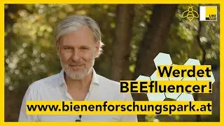 Die BEEfluencer: Helmut Jungwirth, Thomas Schmickl und Martin Stefanec
