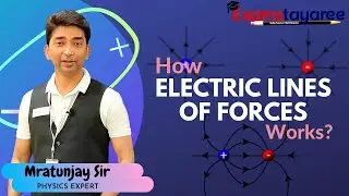 HOW ELECTRIC LINES OF FORCES WORKS | PHYSICS | CBSE 12 | ICSE 12 | EXAMSTAYAREE