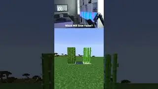 Cactus or Sugar Cane Which Grows Faster #gaming