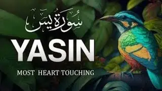 Surah Yaseen (سورة يس) Most Beautiful Heart❤️ Of Qur'an, Peaceful, Shifa,Healing And Barakah#yaseen 