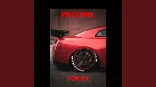 voices