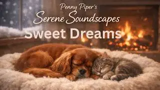🐶 Deep Sleep Music for Dogs 💤 Cozy Fireplace Ambience | Calming, Anxiety Relief, Relaxation