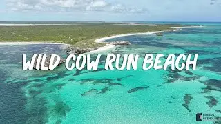Wild Cow Run Beach, Middle Caicos, Turks and Caicos Islands (4-Wheel Drive to get there)