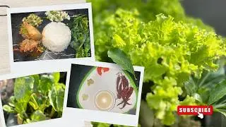 From Garden to Plate || Cooking Aunthentic Naga Pork & Greens ⁨@Chongpovlogs⁩