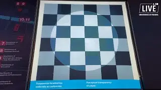 Museo diffuso Unipd. Nella mente umana, a partire dalla primissima infanzia