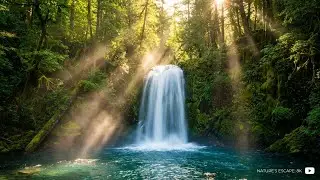 Night Waterfall Ambience for Deep Sleep | Natural White Noise (Live)