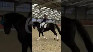 New canter challenge? #horse#equestrian#alannaclarkeequestrian#canter#canterchallenge#satisfying