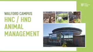 Find out more about the HND in Animal Care at Walford Campus!