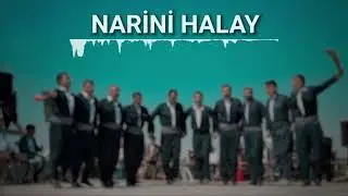 Narini Halay 2026 Metin Uslu Ft. Taylo 