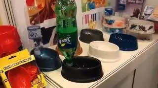 Auto Refill Water Bowl by Pro-A Innovation Limited