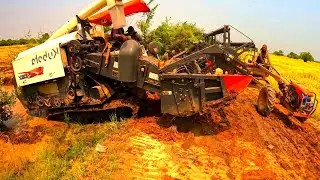 Incredible Safety Operator Harvester Working Skills Cropping Rice By Kubota DC-108X Machinery