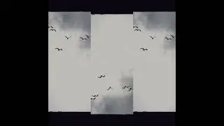 Wink - Ya Pr Tl ( Zonic Remix)