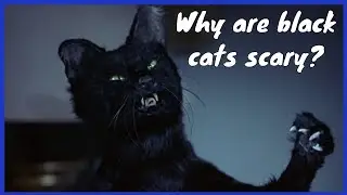 Superstitions & Their Origins - Mystical Monday S1:E6