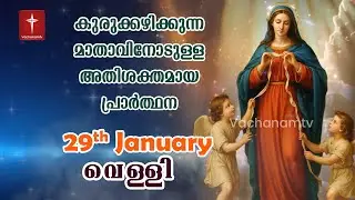 🔴 LIVE - 29th Jan | കുരുക്കഴിക്കുന്ന മാതാവിന്റെ അതിശക്തമായ പ്രാർത്ഥന 33 തവണ 33 ദിവസം ചൊല്ലുക #live