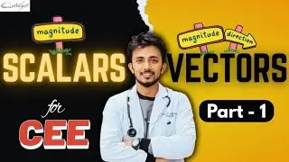 SCALAR and VECTOR part-1 || CEE || Catalyst Institute 