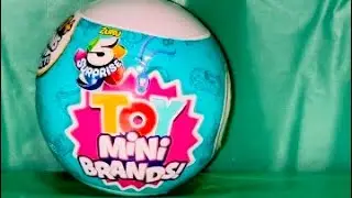 Zoodlezop unboxing mini brands toy edition