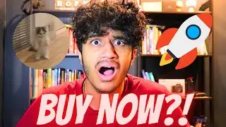 THIS CAT COIN COULD 10X!! $MICHI REVIEW!! MICHI MEMECOIN PRICE PREDICTION!!