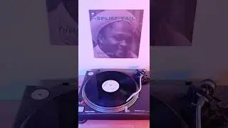 vinyl Wednesday: Triston Palma - Spliff Tail #reggae #dj #vinyl #rubadub