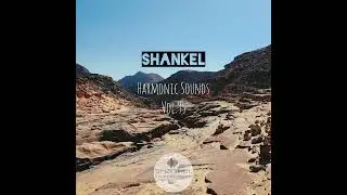 DJ.ru Микс: Shankel &mdash; Harmonic Sounds. Vol.95