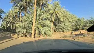 الأمير والشاعر فيصل بن راشد الفوزان( ياذا الشهر ورى لياليك سودي)