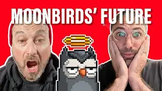 PROOF Collective Announcements: What&rsquo;s next for Moonbirds NFT Project?