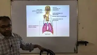 HSC Special Care 2023 [Zoology 5th chapter (Lecture-03)]