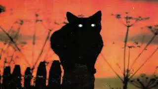 Ghost Rocket - Gloomy