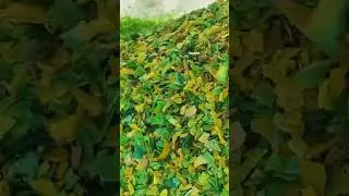 Plastic material sorter high-purity purification of PP, PE, PVC, PC, POM, PA, PMMA, ABS, PS, etc.