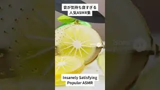 【人気ASMR集】切る音が気持ち良すぎる｜Satisfying ASMR