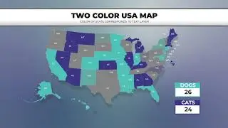 USA Smart Charts Data-Driven Infographics - Free Download After Effects Templates