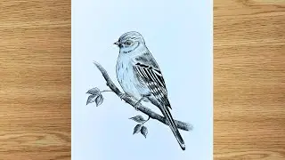 how to draw a realistic bird step by Step Drawing Tutorial|| Easy Bird Drawing