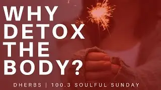 The Story Behind Dherbs Detox Cleansing