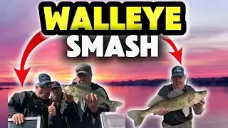 Walleye Smash at Last Mountain Lake!