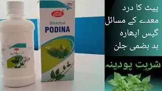 sharbat podina شربت پودینہ