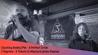 Counting Bodies/Pet by A Perfect Circle  performed by 3 Degrees live Brothers Tavern Milford, MA