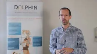 Whisper Trigger - Dolphin Integration