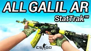 ALL GALIL AR SKINS AND PRICES - CS:GO 2021