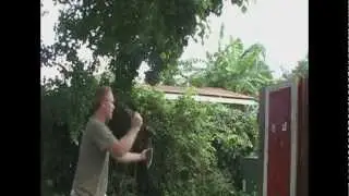 Speed Knife Throwing with Cold Steel 8 knives in 8 seconds