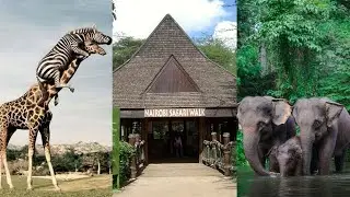 AMAZING PLACES TO VISIT IN NAIROBI ON A BUDGET (less than $3)