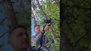 #car #shortsvideo #edit #viral #drift #drifting #tiktok #trending #reels #respect#rally#alpine#rally