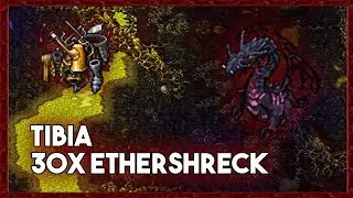 [PL] Tibia Boss | 30X ETHERSHRECK!