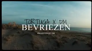 BEVRIEZEN - TORTUGA X DM (prod. by DM)