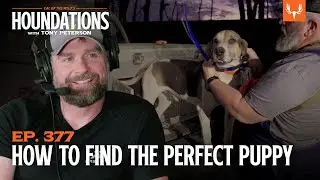 How to Find the Perfect Puppy with Brent Reaves | Houndations Ep. 377