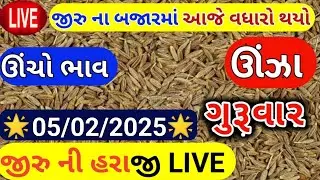 Jeera na bhav | 06-02-2025 | જીરું ના ભાવ:2025 | live cumin trading in  APMC | commodity Trend