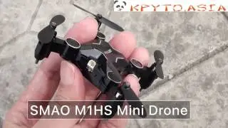 Мини дрон SMAO M1HS, 0.3Мп камера, FPV, App, Wi-Fi, подсветка, 220мАч, 25г
